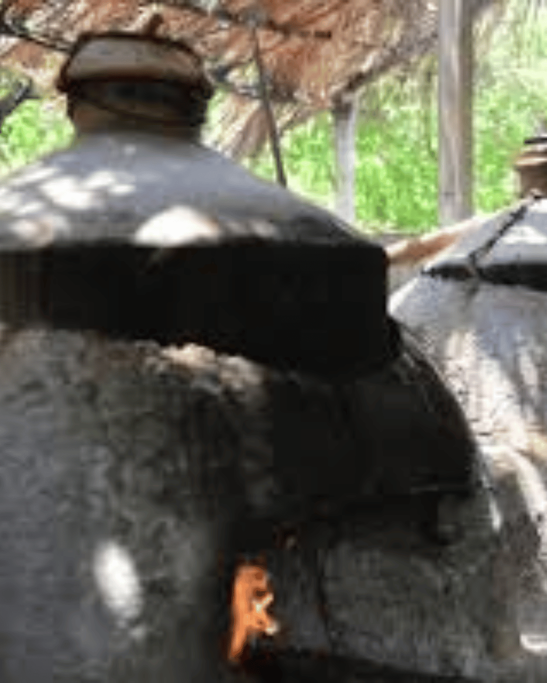 Feni Making Tradition