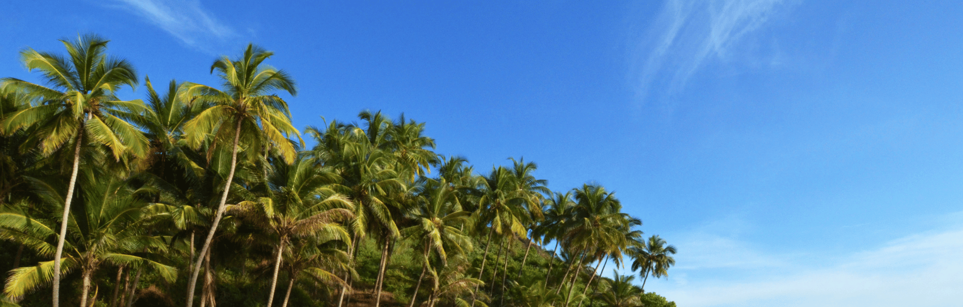 Goa destination image 3